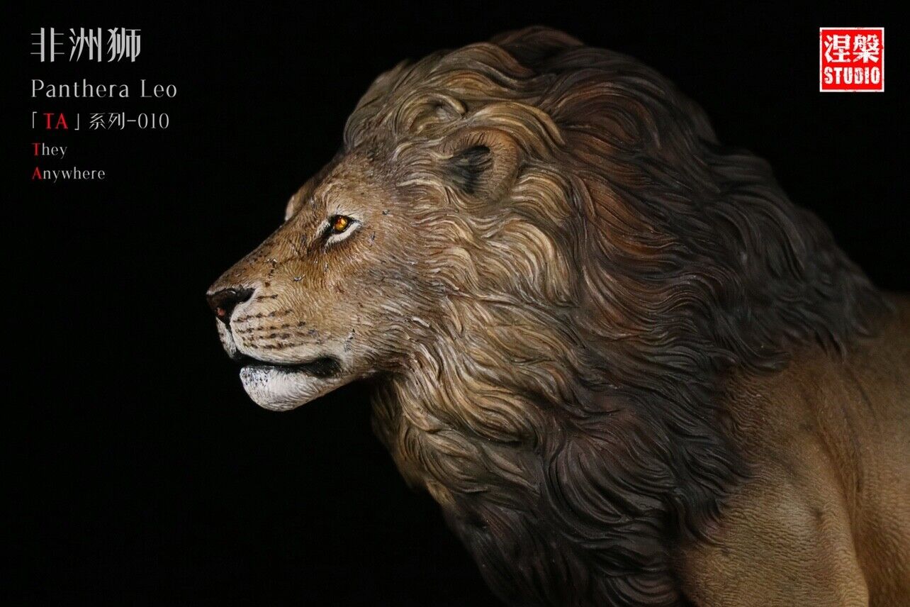 Panthera Leo TA Series-10 African Lion Model