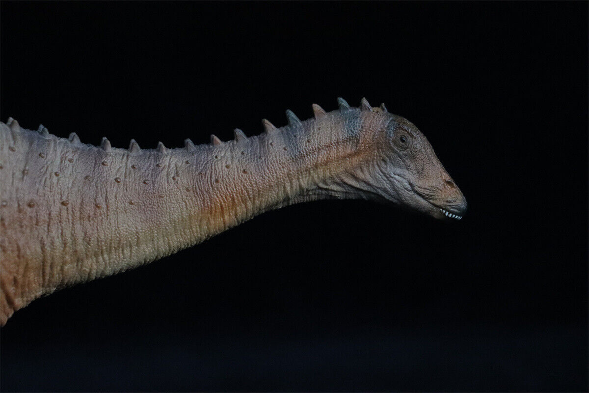 PNSO Lingwulong Chuanchuan Model