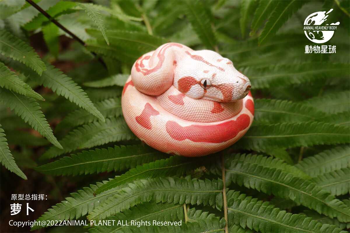 Animal Planet 09 Snake 2.0 Blind Box Model