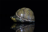 Animal Planet 08 Turtle Blind Box Model