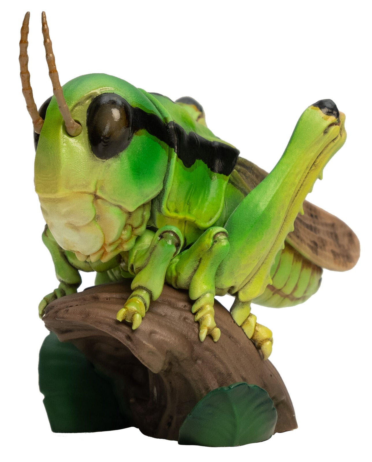 Animal Planet 11 Insect 2.0 Blind Box Model – Lana Time Shop