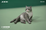 JXK 1/6 Cat In The Place Model