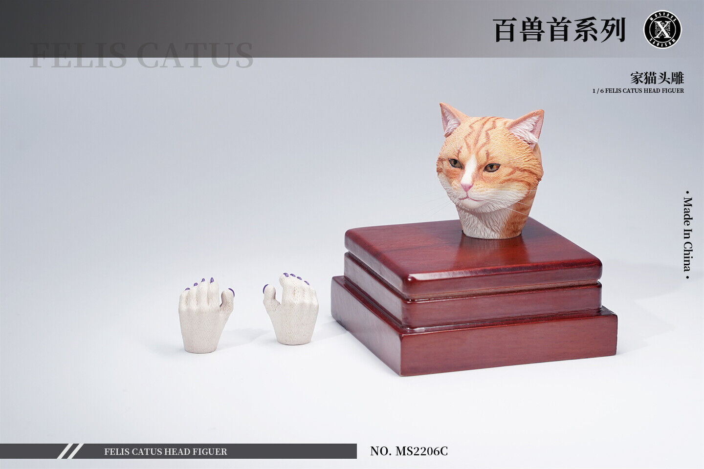 Mostoys 1/6 Felis Catus Head Figure