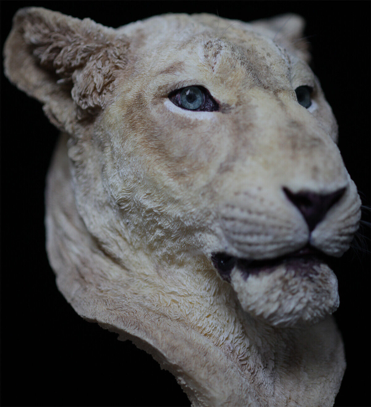 1/2 Lioness Head Statue