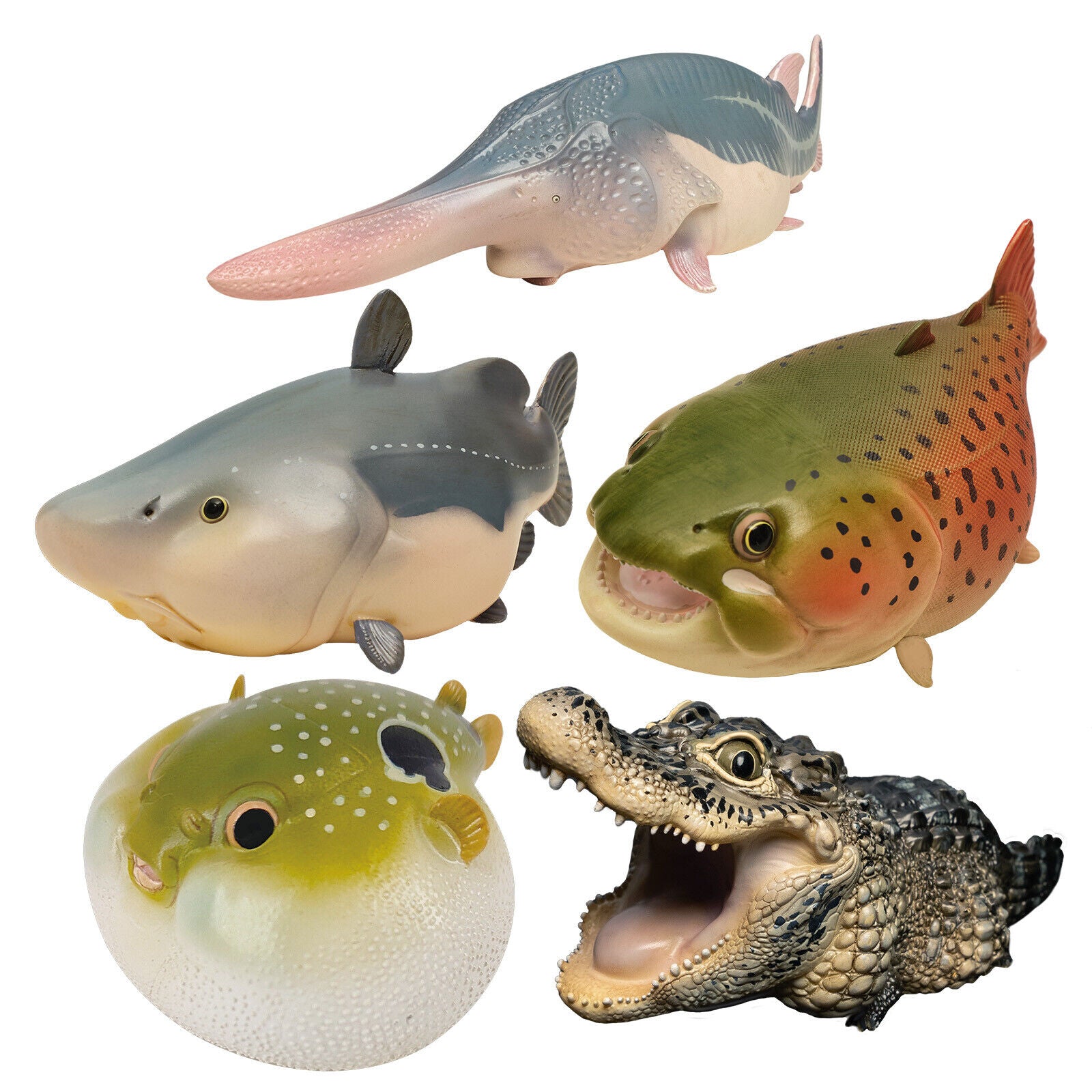 Animal Planet Trésors chinois 3 Modèle animal en voie de disparition