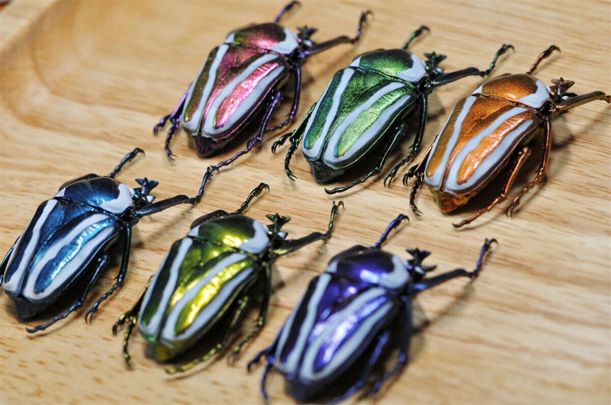 Colorful Insect Model