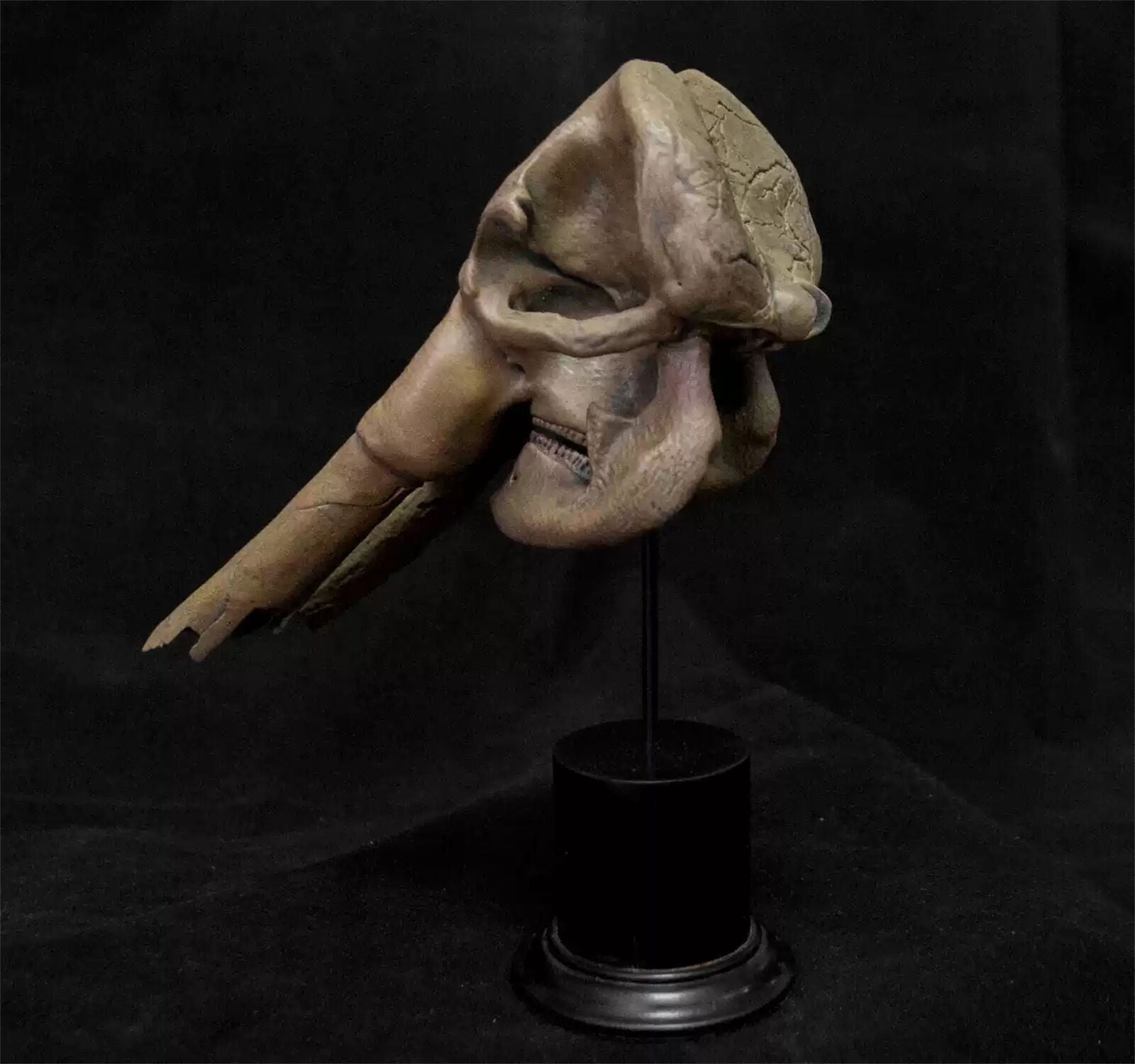 VWUVWU 1/20 Huanghe Flumen Stegodon Skull Model