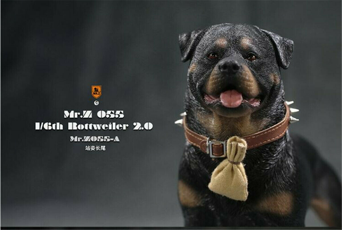 Mr.z 1/6 Rottweiler Figure