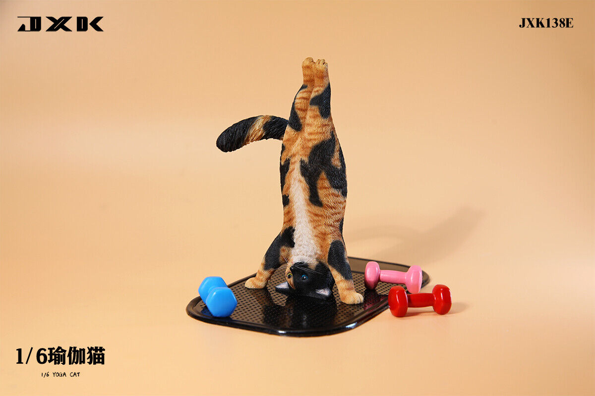 JXK 1/6 Yoga Cat Model – Lana Time Shop JXK 1/6 Yoga Cat Model – Lana Time Shop