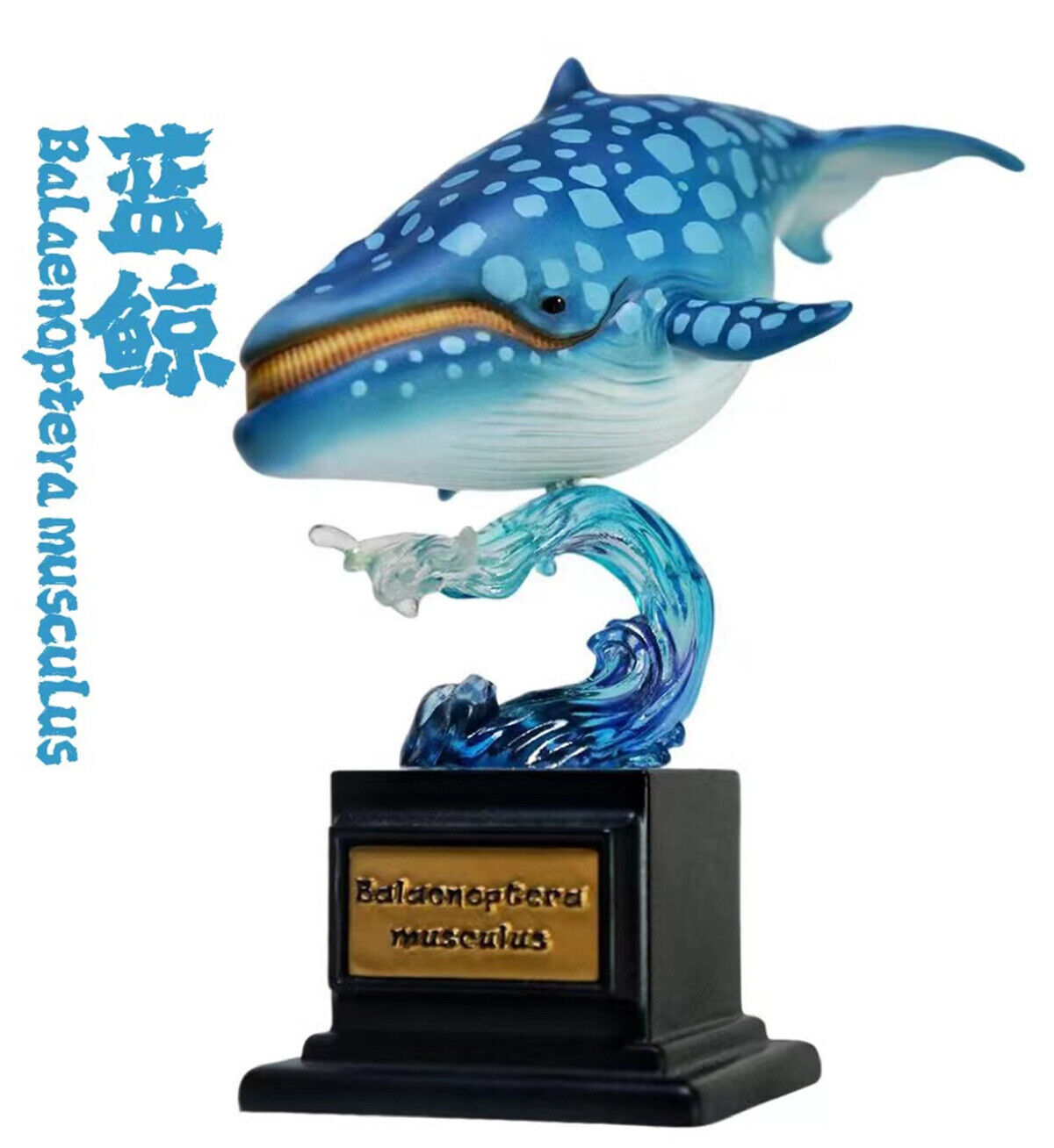 Whale Blind Box Model