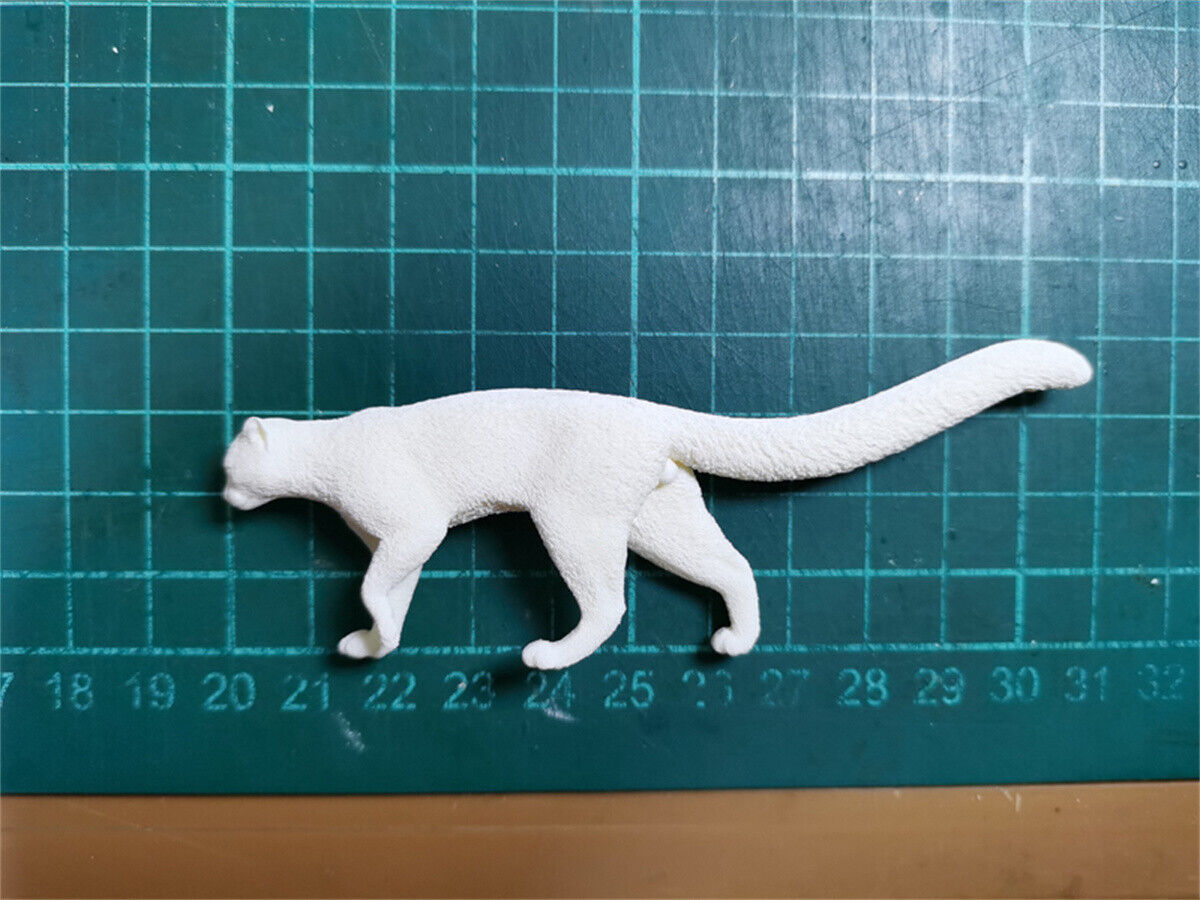 Woo-Model Studio 1/10 Nepalese Marbled Cat Model