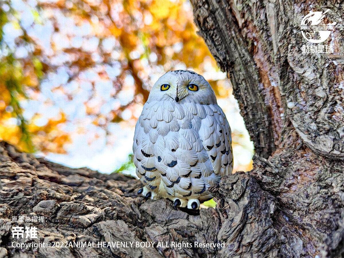 Animal Planet Birds 2.0 Blind Box Model