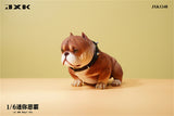 JXK 1/6 Mini Bully Dog Model