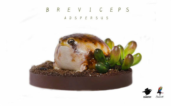 ESANSTOY Breviceps adspersus Model