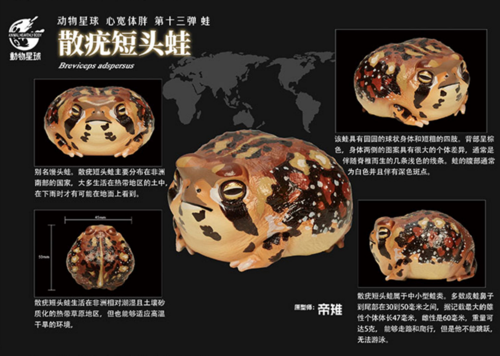 Animal Planet 13 Frog Blind Box Model