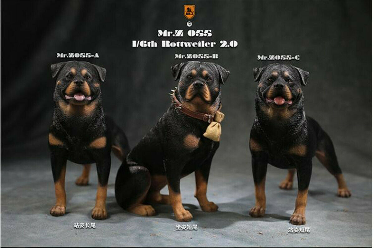 Mr.z 1/6 Rottweiler Figure