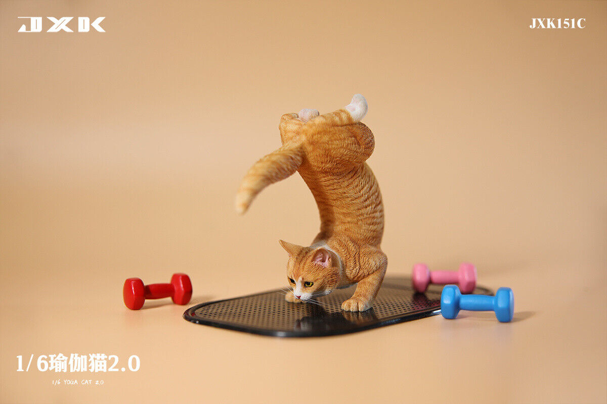 JXK 1/6 Yoga Cat 2.0 Model
