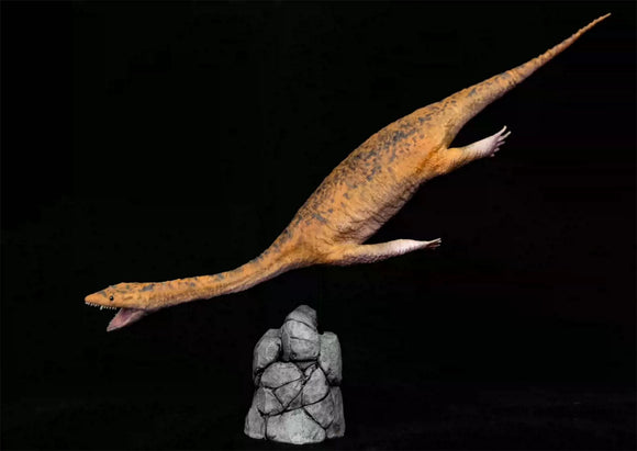 VWUVWU 1/1 Keichousaurus Model