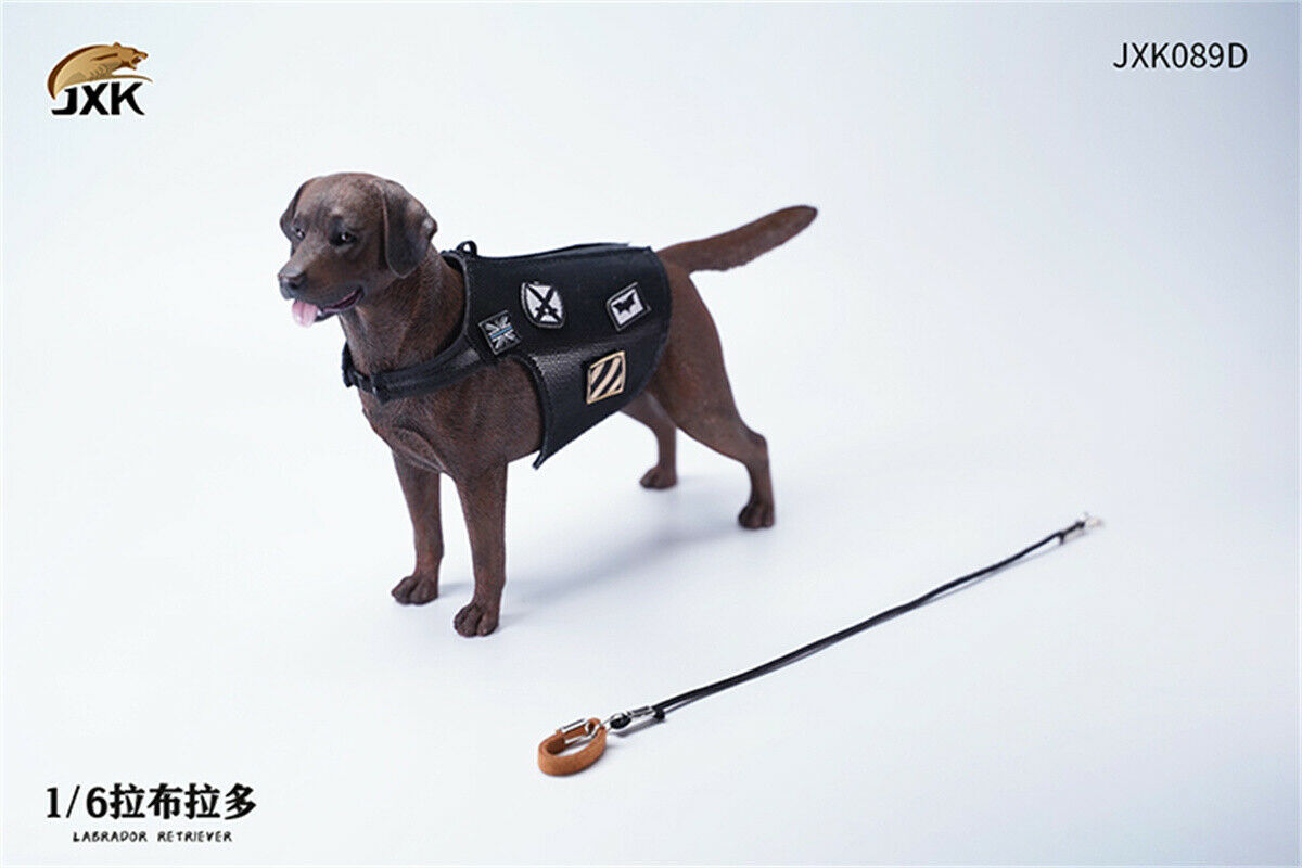 JXK 1/6 Labrador Retriever Dog Model