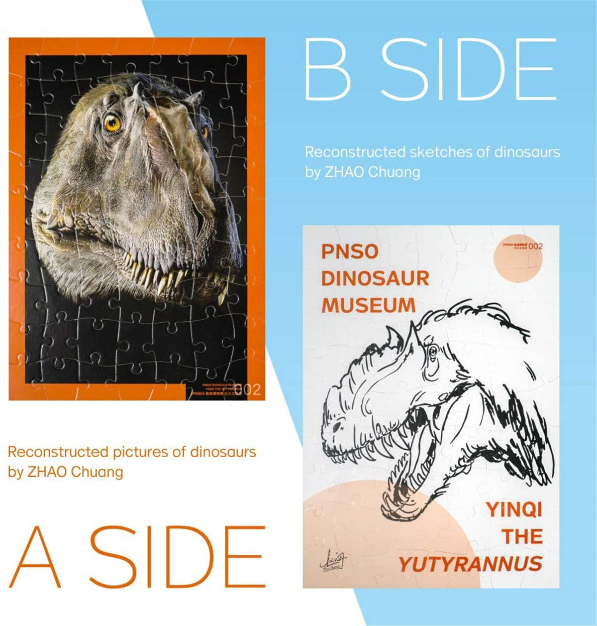 PNSO Dinosaur Museum Puzzle Poster Figure