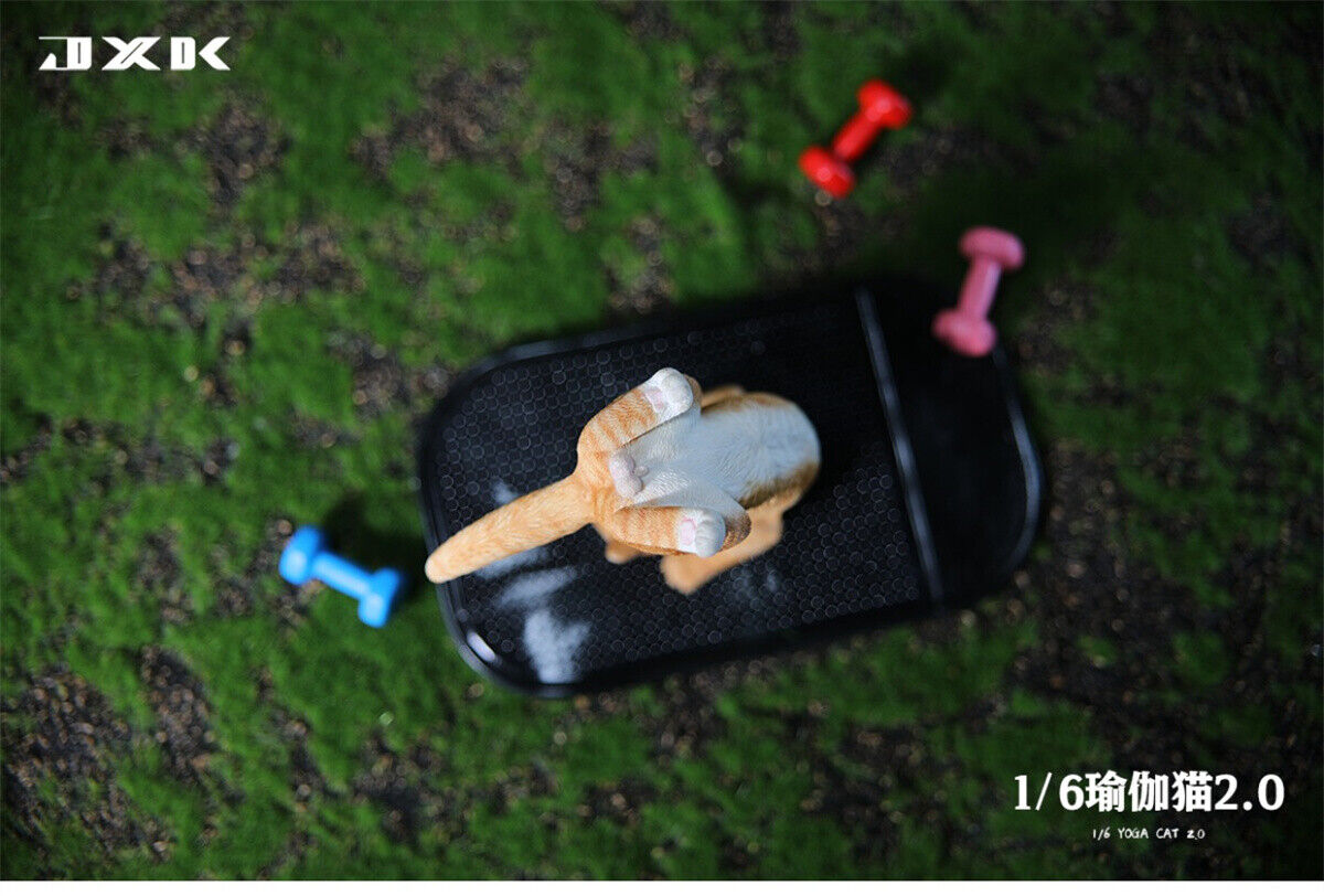 JXK 1/6 Yoga Cat 2.0 Model