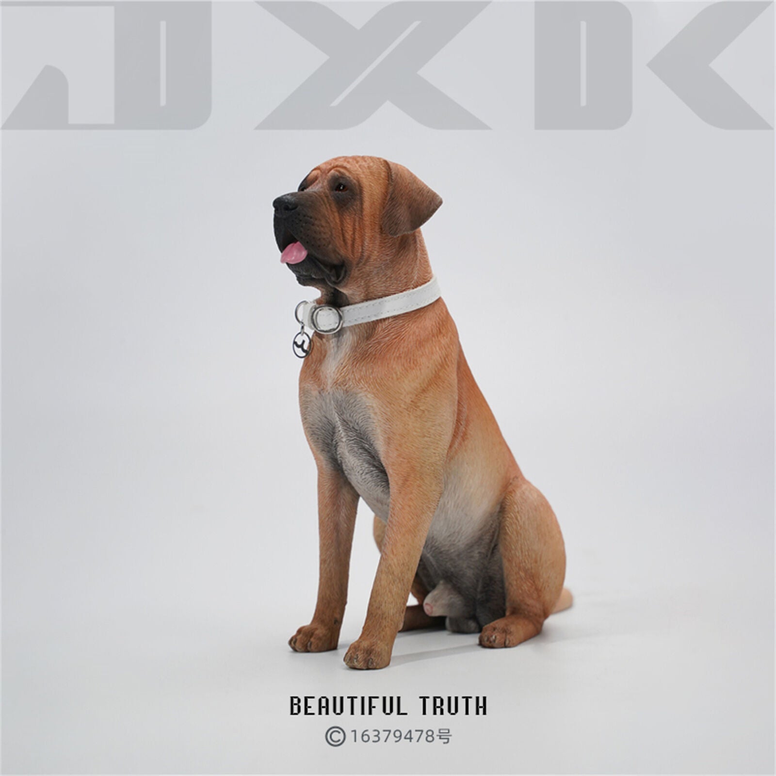 JXK 1/6 Tosa Inu Model