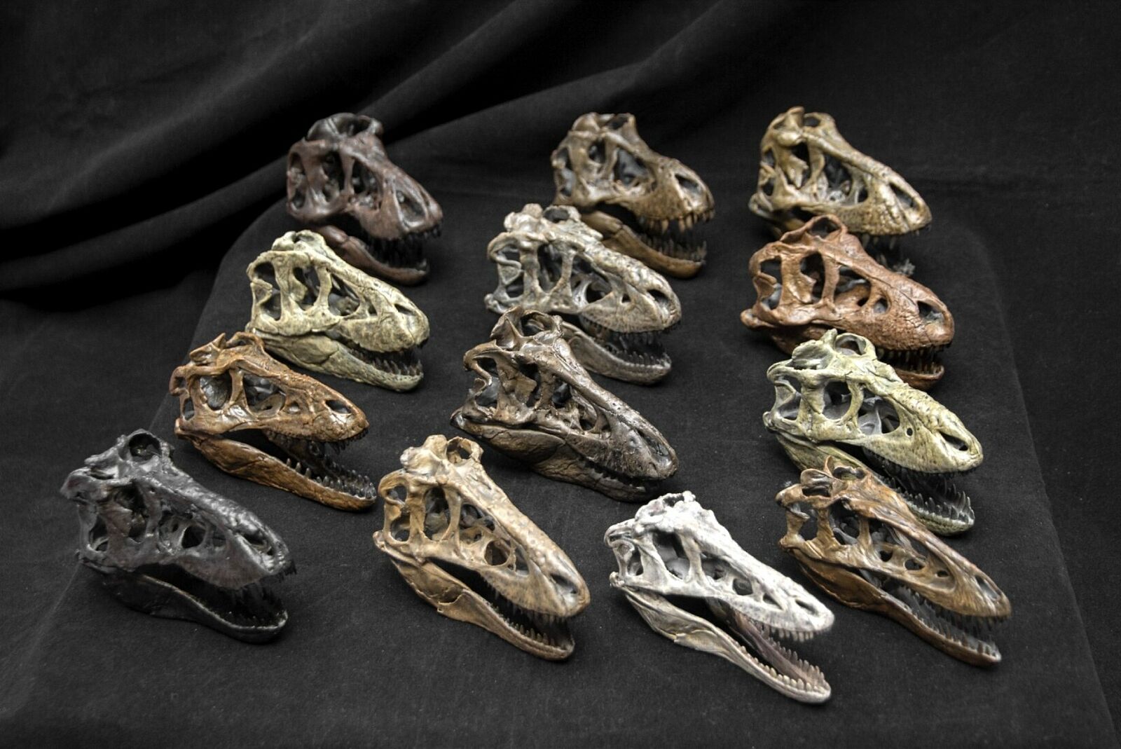 Tyrannosaurus Skull Model