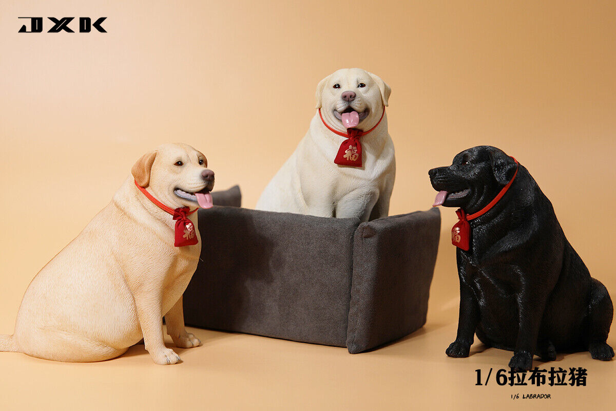 JXK 1/6 Labrador Model