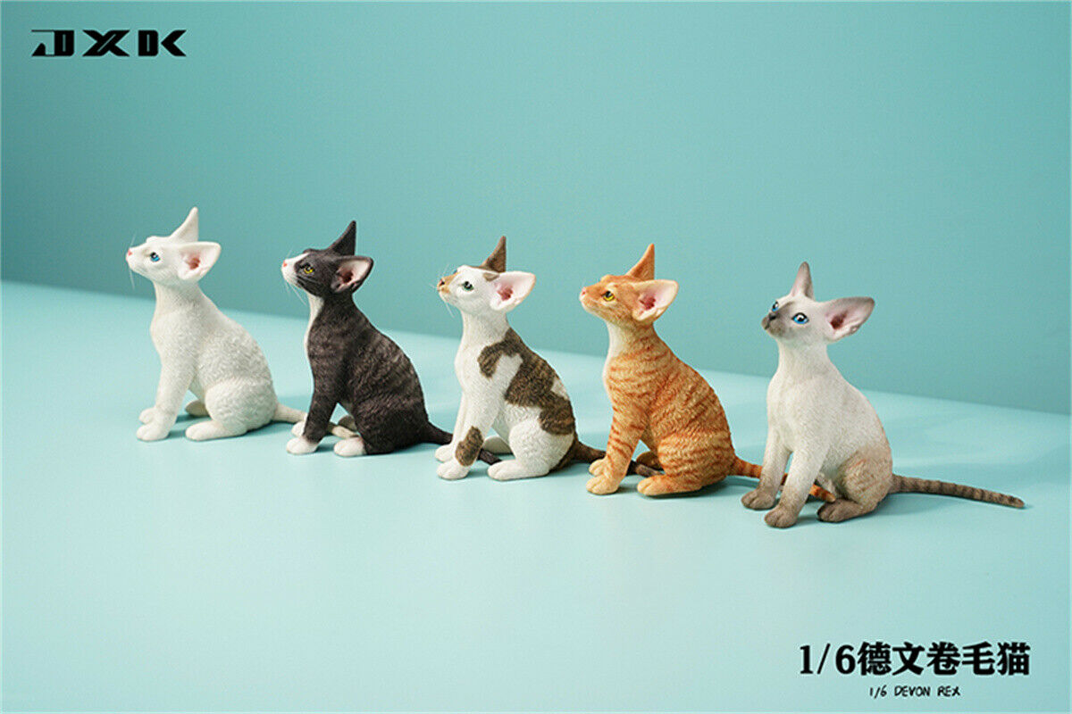 JXK 1/6 Devon Rex Model