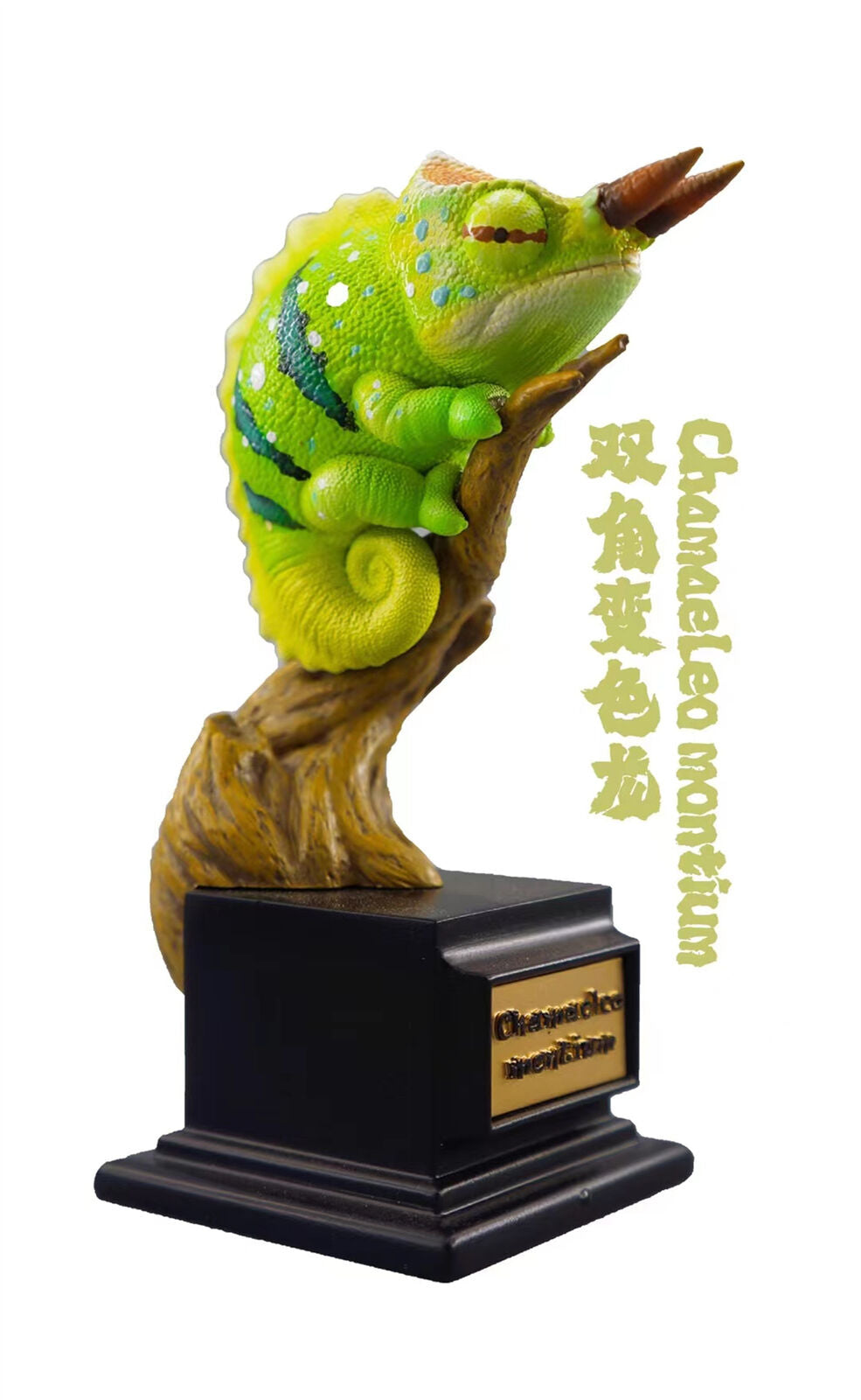 Chamaeleonidae Blind Box Model