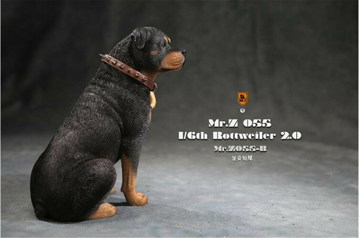 Mr.z 1/6 Rottweiler Figure