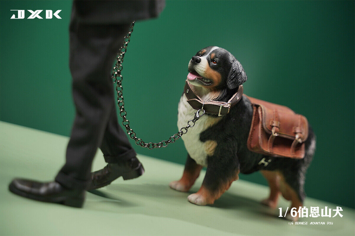 JXK 1/6 Bernese Mountain Dog Model