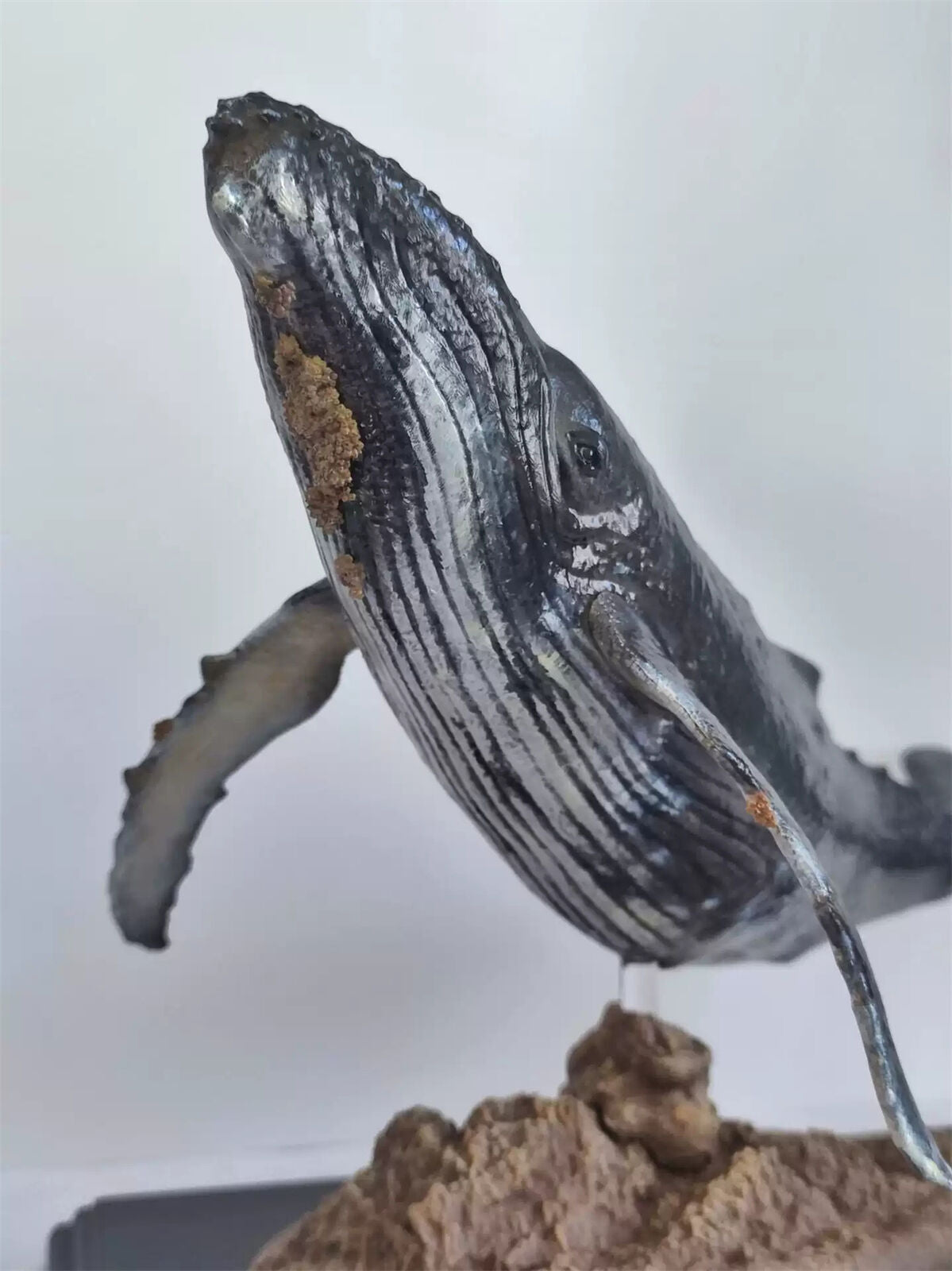 Xifu Studio 1/35 Humpback Whale Model