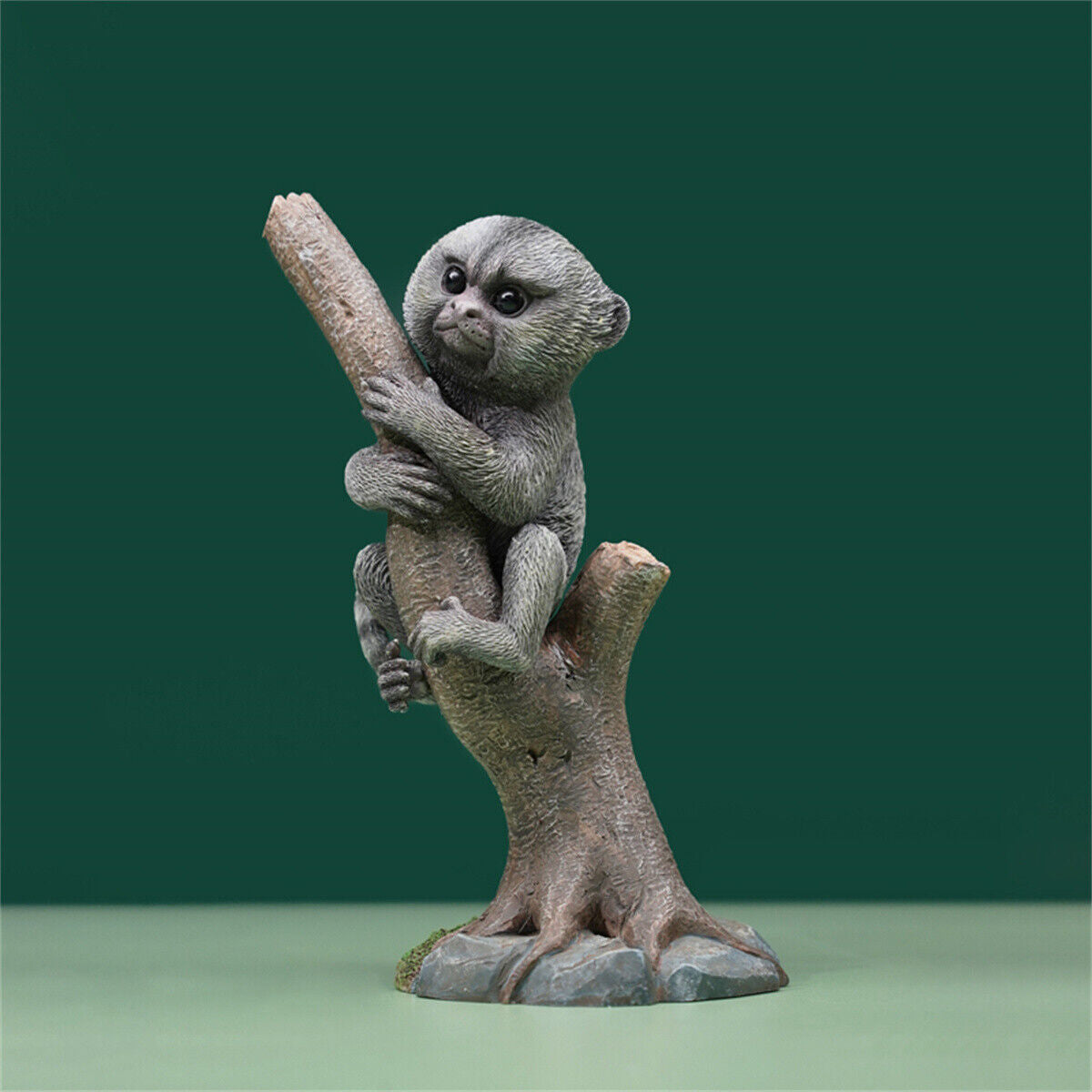 JXK 1/1 Callithrix Jacchus Model