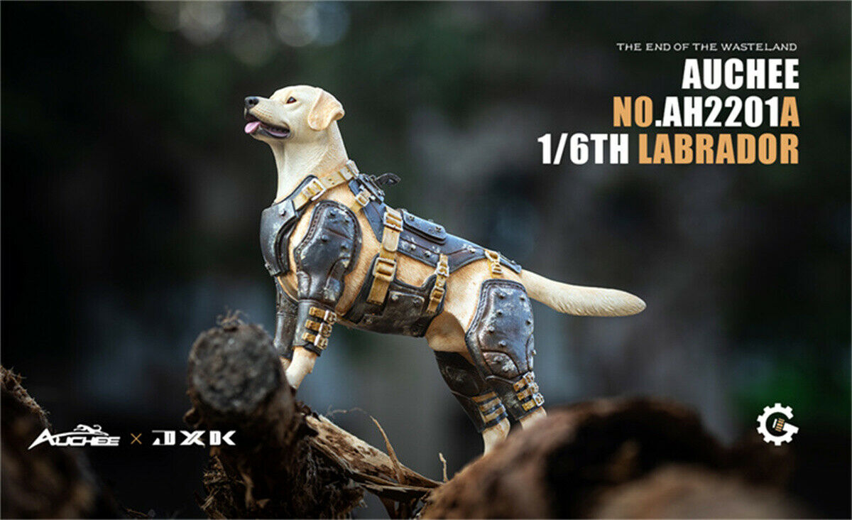 JXK 1/6 Armored Labrador Model
