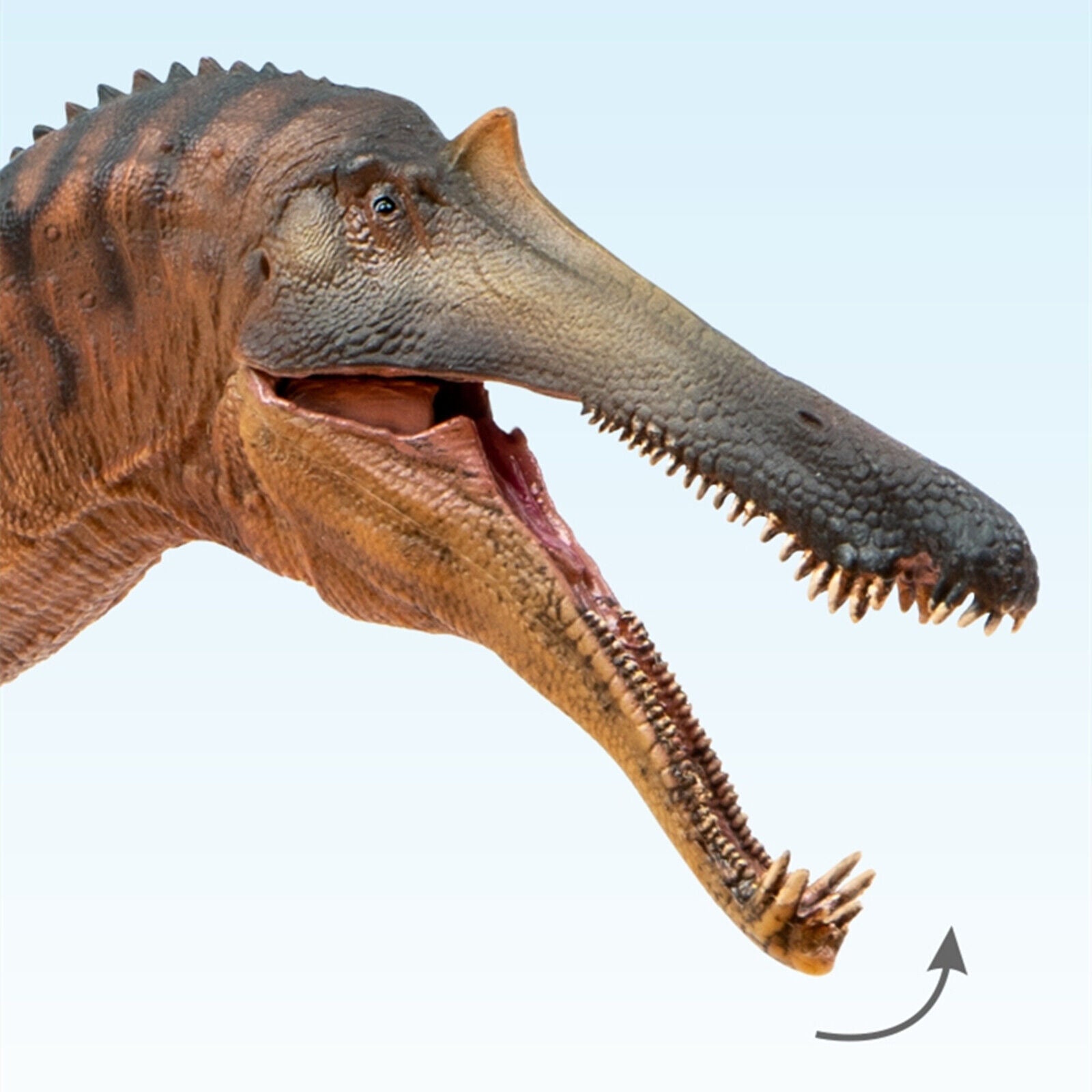 PNSO Sinopliosaurus Chongzuo Model