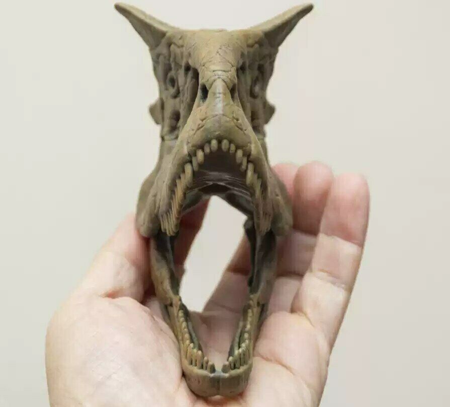 Carnotaurus Skull Model