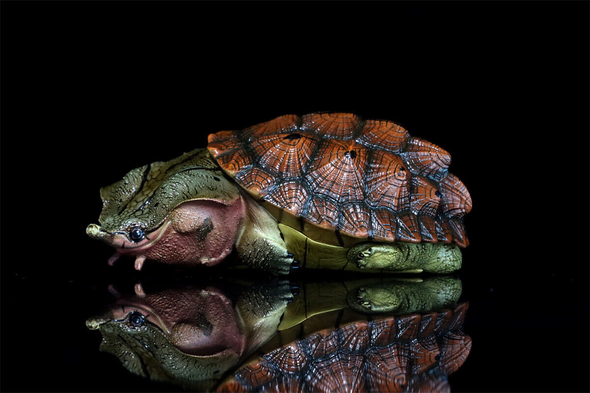 Animal Planet 08 Turtle Blind Box Model