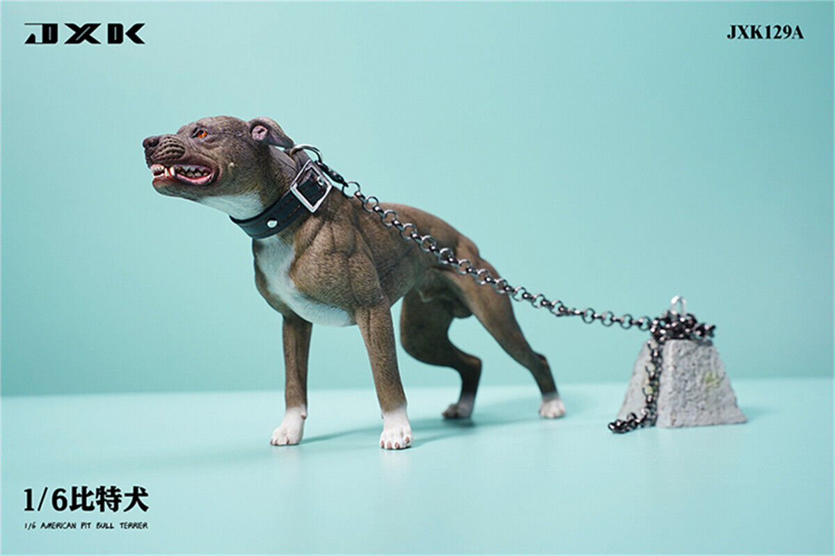 JXK 1/6 American Pit Bull Terrier Model