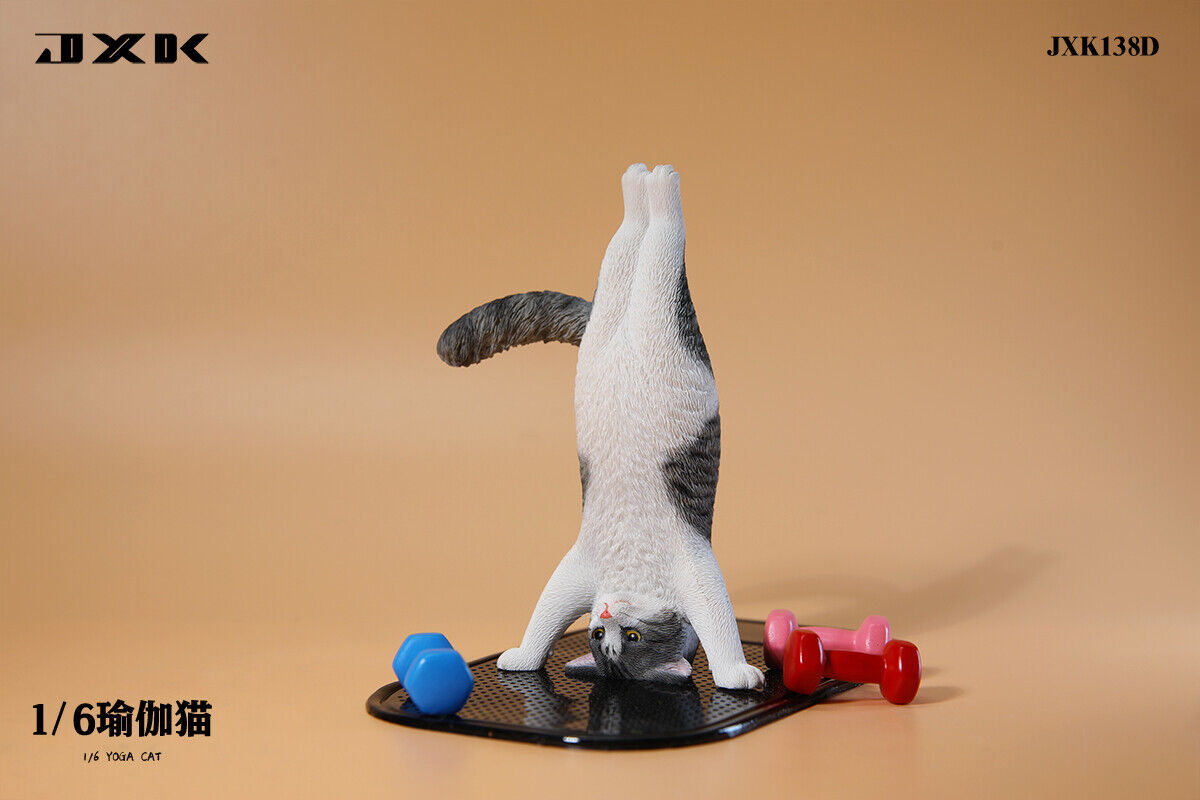 JXK 1/6 Yoga Cat Model