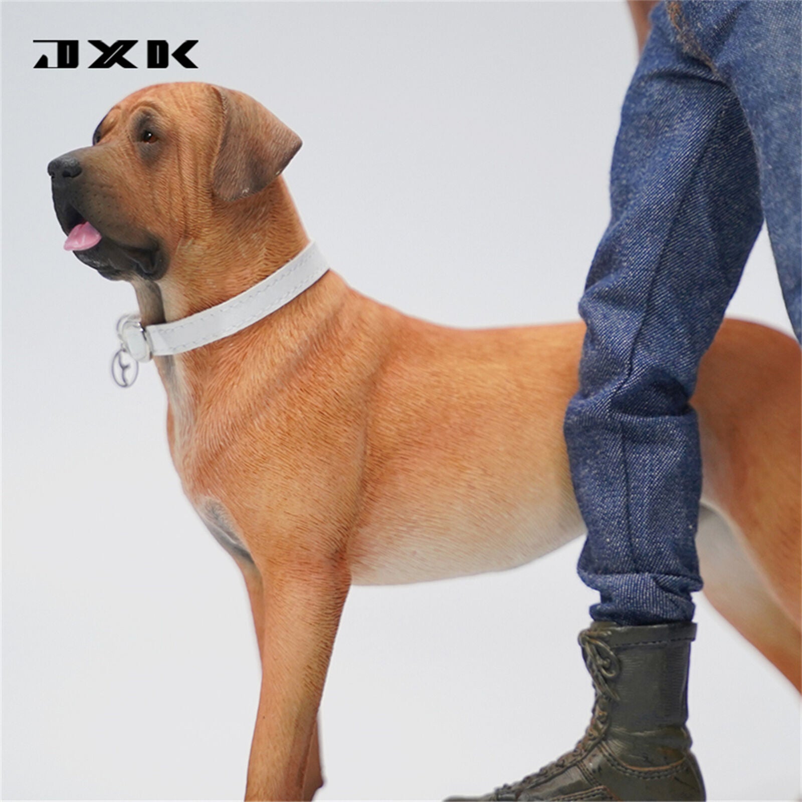 JXK 1/6 Tosa Inu Model