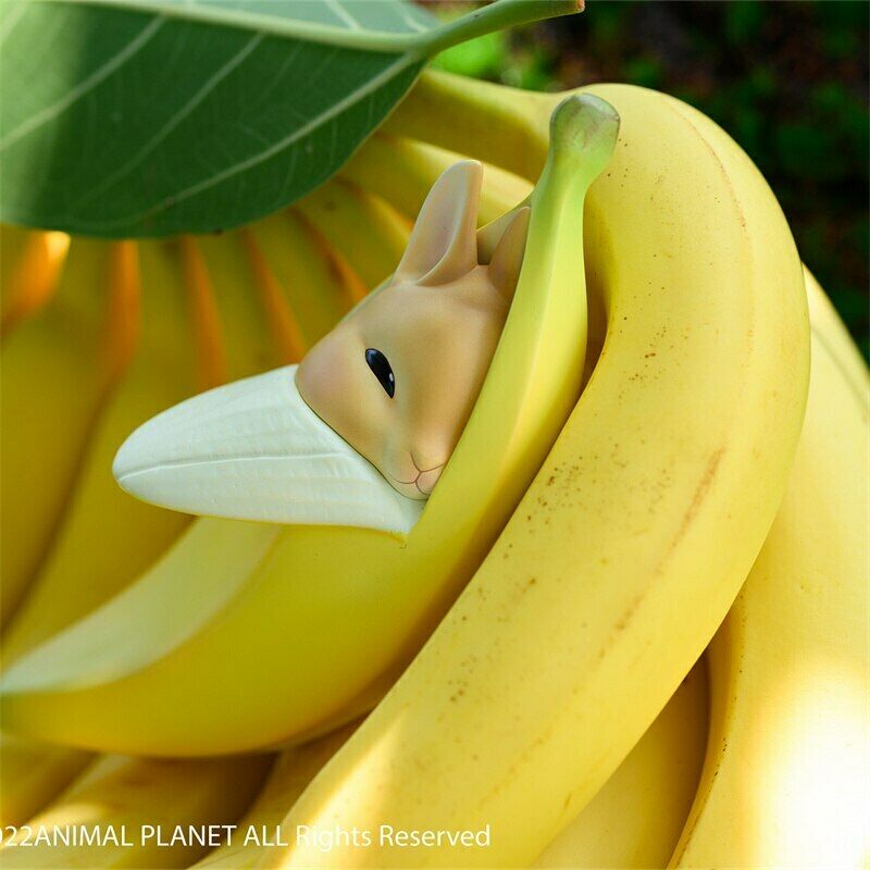 Banana Rabbit Model