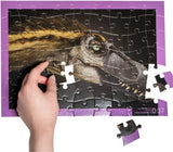 8Pcs PNSO Dinosaur Museum Puzzle Poster Figure