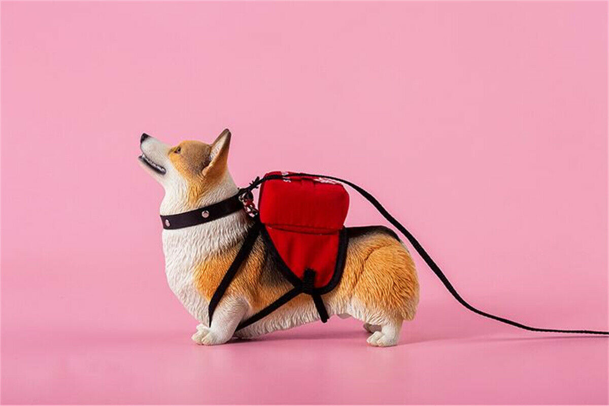 JXK 1/6 Welsh Corgi Pembroke Model