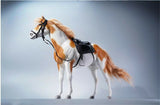 JXK 1/6 American Paint Horse Model