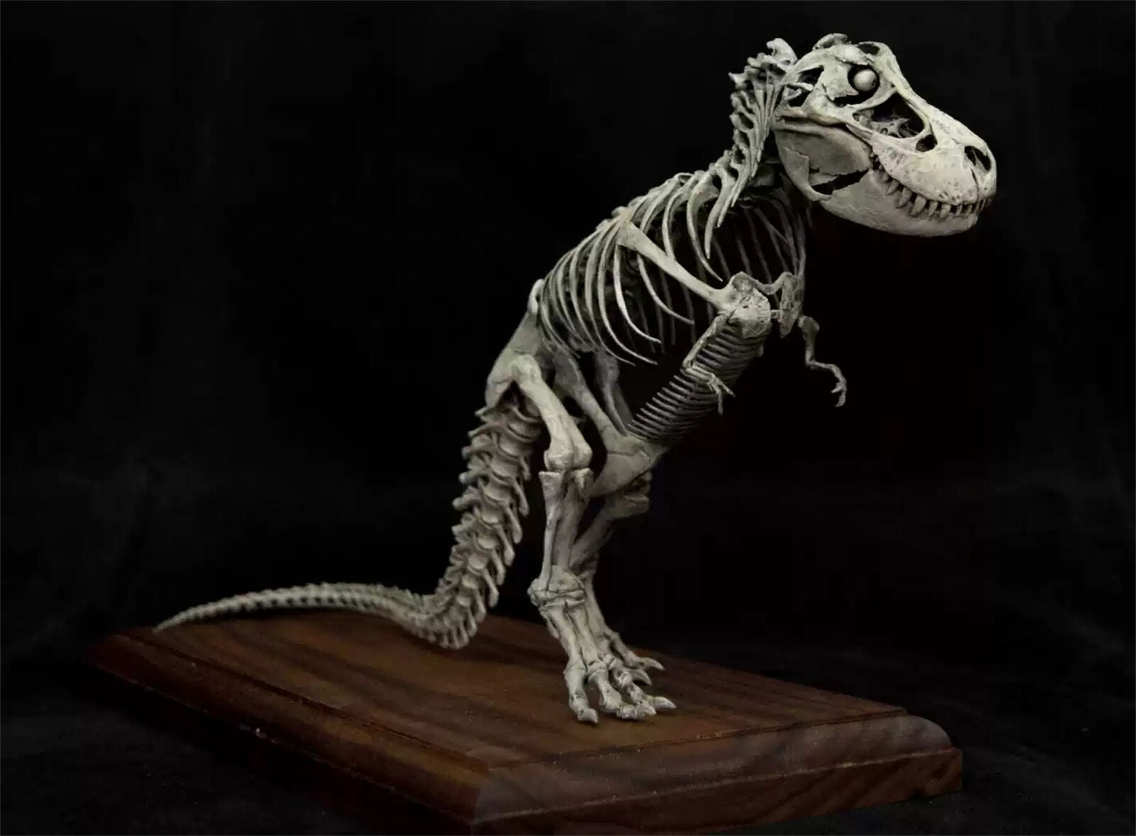 VWUVWU 1/35 Standing Tyrannosaurus Skeleton Model