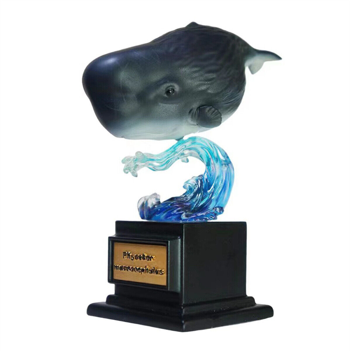 Whale Blind Box Model