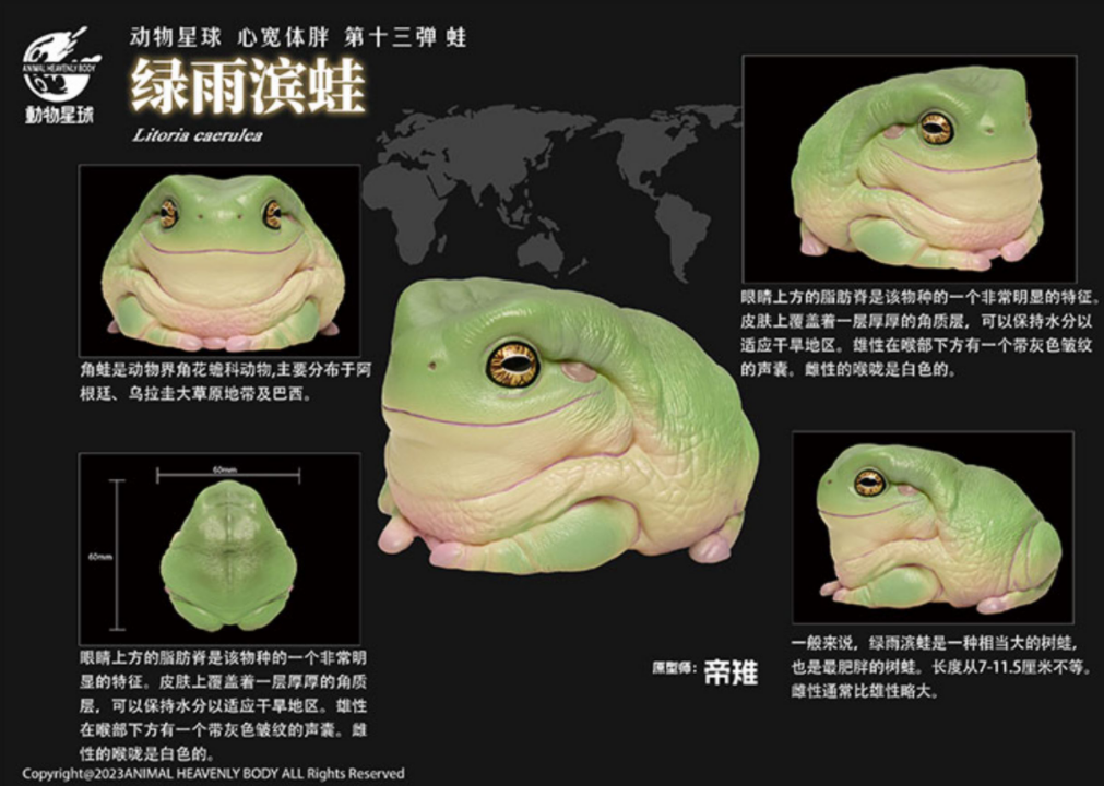 Animal Planet 13 Frog Blind Box Model