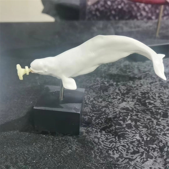 Sumeru Studio 1/35 White Whale Model