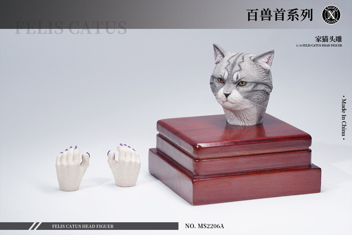 Mostoys 1/6 Felis Catus Head Figure